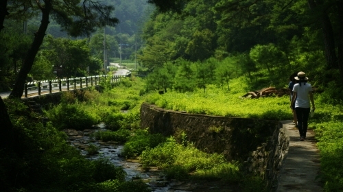 크기변환__DSC5651.JPG
