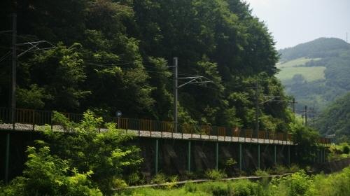 크기변환__DSC5390.JPG