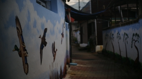 크기변환__DSC5377.JPG
