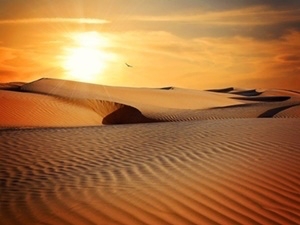 desert-790640_640.jpg