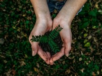 noah-buscher-x8ZStukS2PM-unsplash-800x458.jpg
